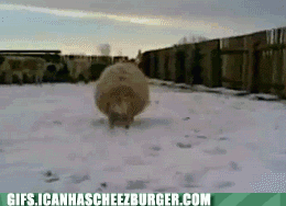 first-person-experience