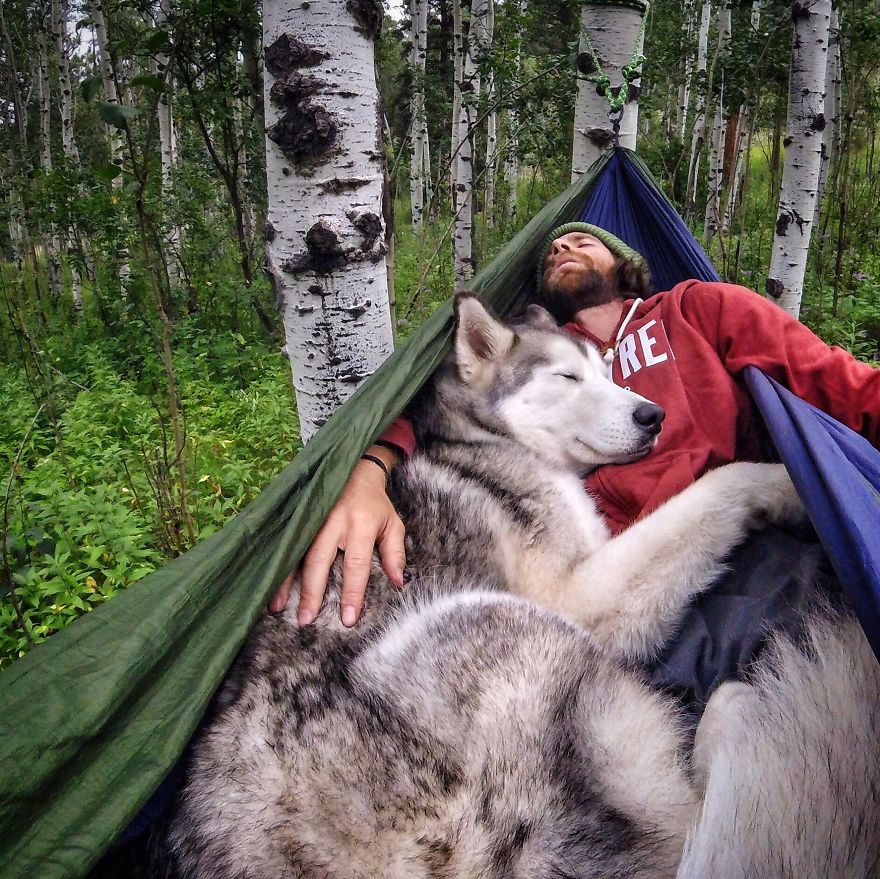 Loki-Hammock4__880.jpg