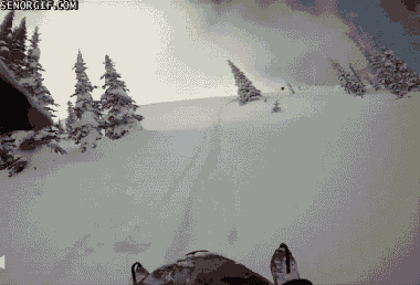 giphy.gif
