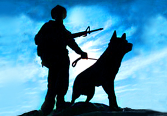 g5_wardog_portnechestx.jpg