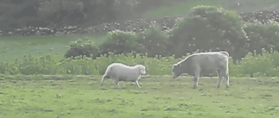 here-i-come-watch-out