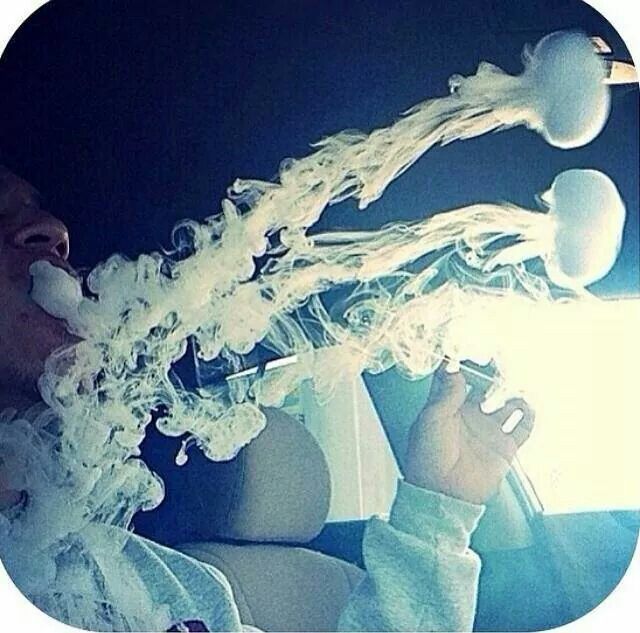 9d94e5e5f13645dc811c1df4c8907c4f--jelly-fish-ganja.jpg