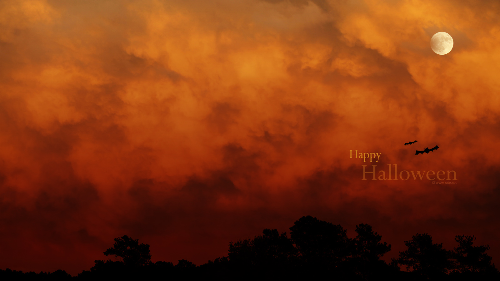 katenet-halloween-2010a_1600x900.jpg