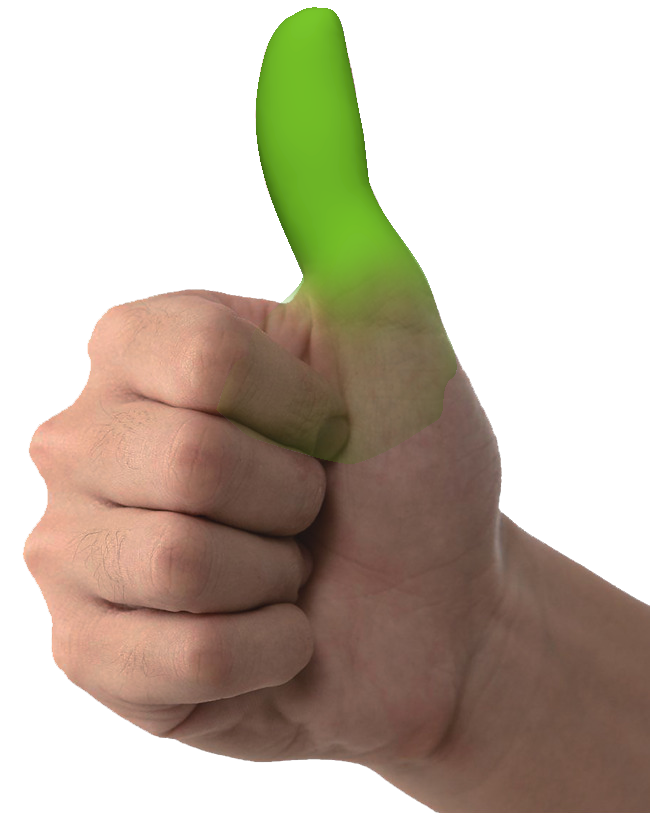 81begII.png