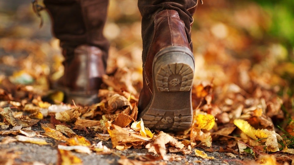 Fall-Activities.jpg