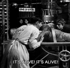 11008229.gif