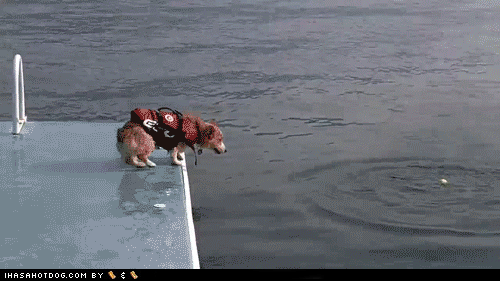 AtrqbO6cJkiyy4V-cmZcSg2.gif