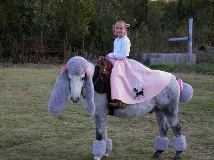 pony-poodle-girl.jpg