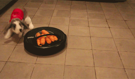 N6v55CY.gif