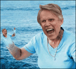PZBPG.gif