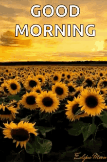 1130643feebe0aad218f9a3d6d6c7759.gif
