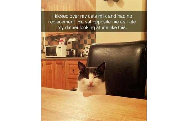 L64U81M1203MMKO7-v1-fram640x414x640x414xxxx