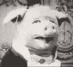 OvuiAGk.gif
