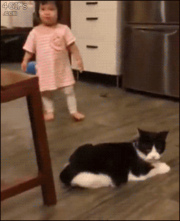 452j.gif