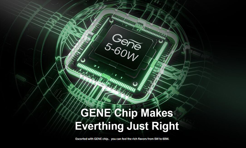 VOOPOO_Doric_60_Kit_GENE_Chip.jpg