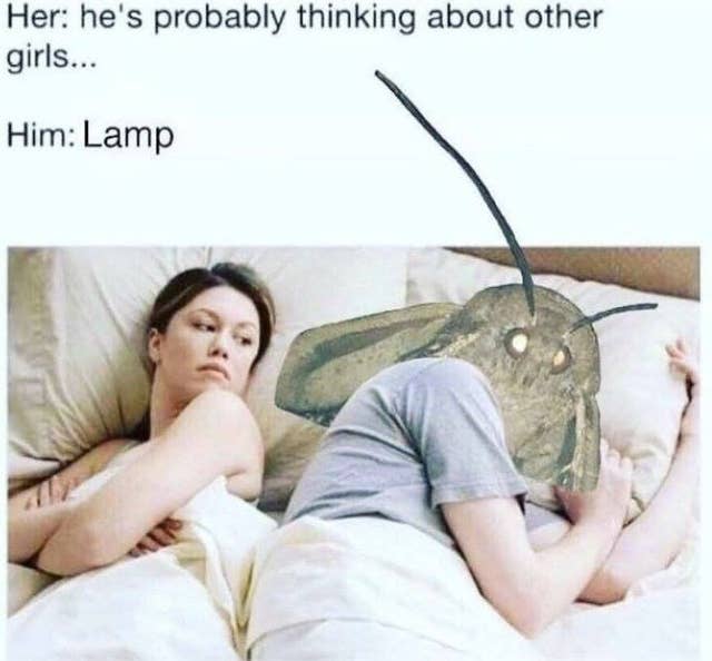 bmt4YHp.jpg