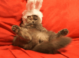200_s.gif