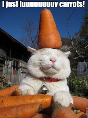 ilovecarrots.jpg