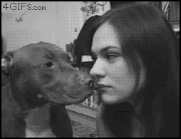 G0UobKM.gif