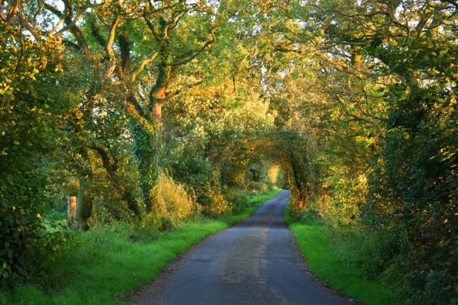 some_amazing_roads_57.jpg