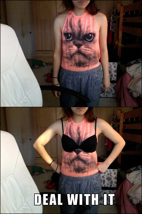 deal-with-it-cat-shirt.jpg