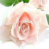 icon029.gif
