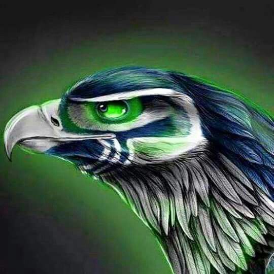 6a894a8ee0b2dbb11c5b550b68e7bd85.jpg