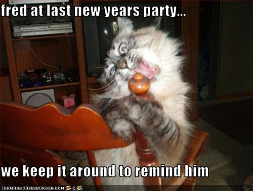 cat-went-crazy-at-party.jpg