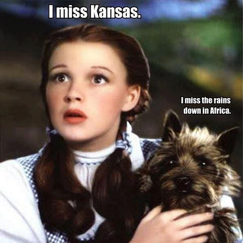 not-in-kansas-anymore.jpg