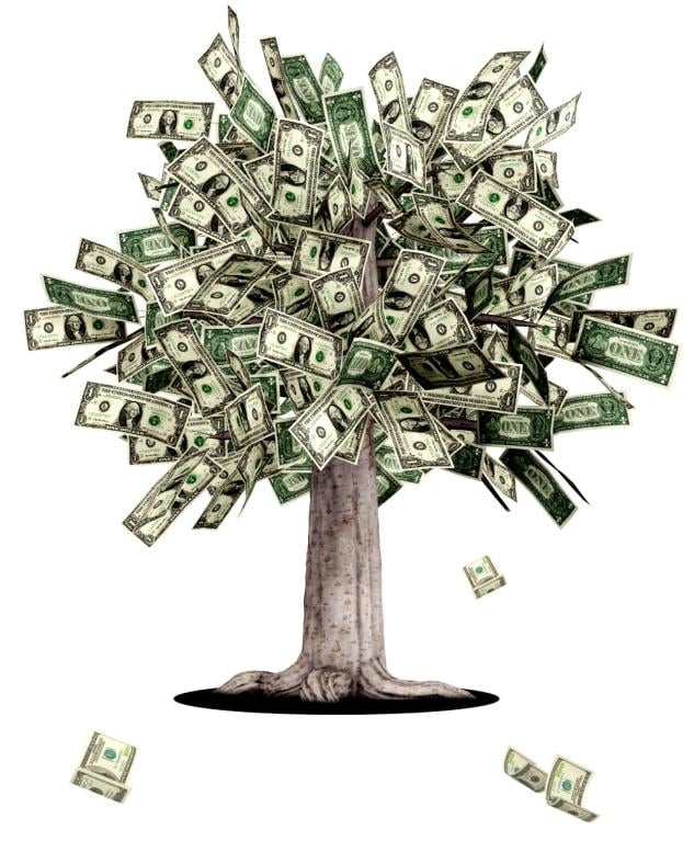 MoneyTree.jpg