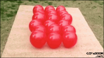 ani_dog-busts-balloons.gif