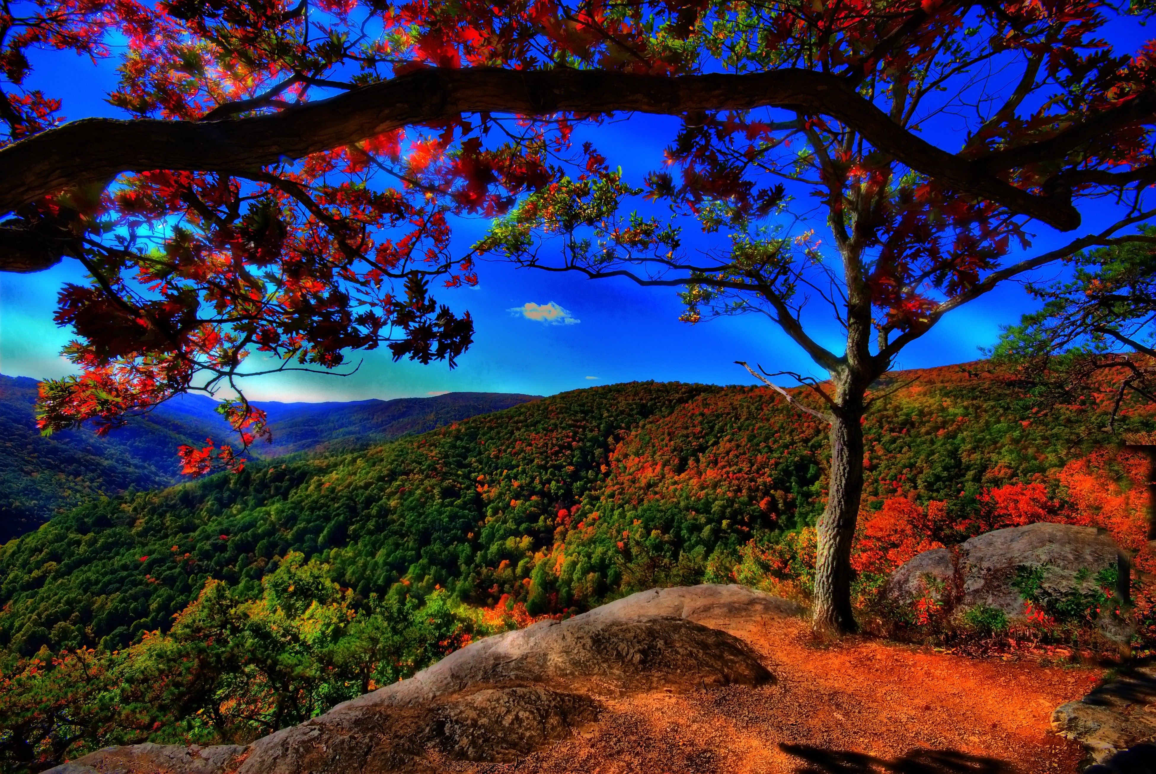 beautiful_nature_06.jpg