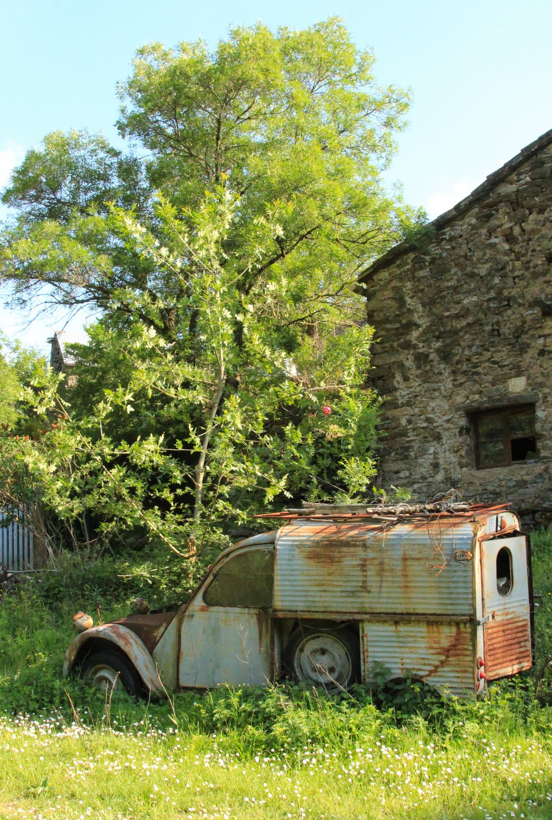 Truck%2BTree.jpg