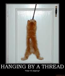 hanging.jpg