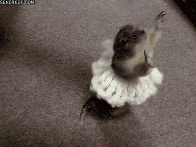 3dfc0cce9042c105d416bee265491cad.gif