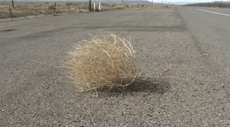721df361d0d250c0c8f6f98db0062f33.gif