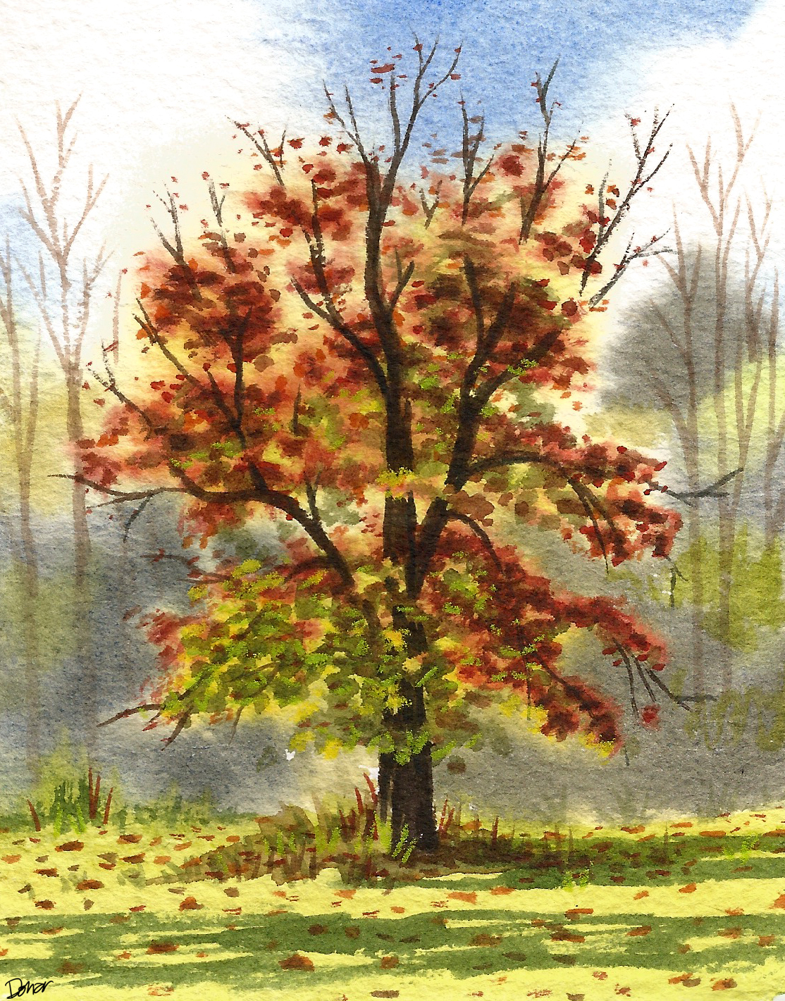 on_maplewood_oak_oct28_2013.jpg