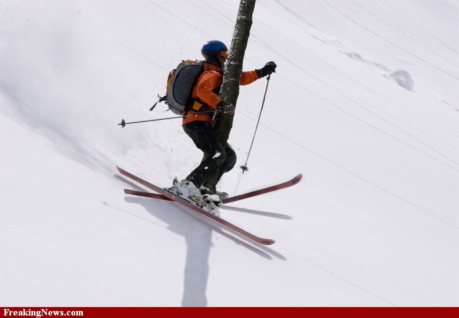 skier-crashing-into-tree-68904.jpg
