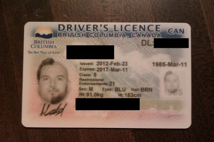 novelty_drivers_license_10.jpg