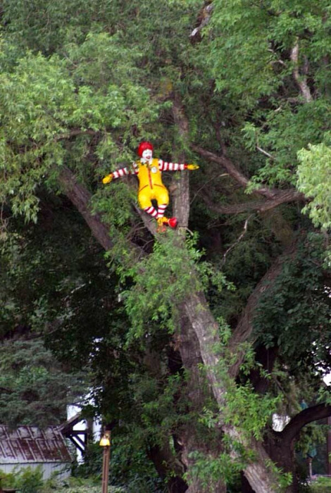 ronald-in-a-tree.jpg