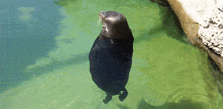 3t7p2S5.gif