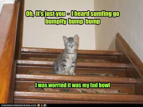 158449d1358789570-bump-thread-bump01.jpg