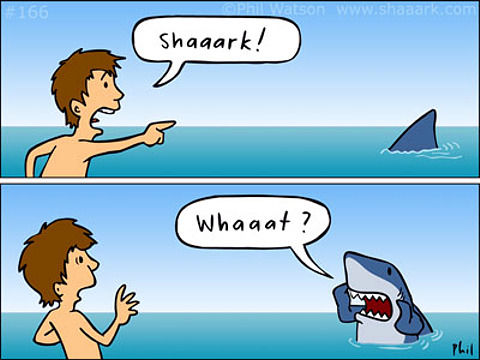 toon_shaaark-what.jpg