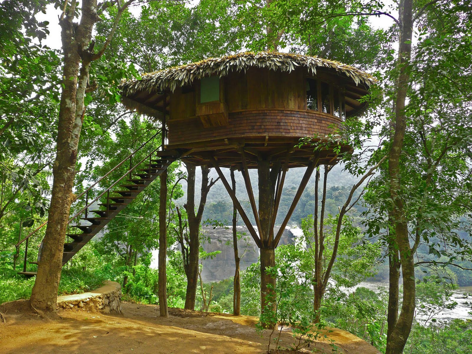 Rain+Forest+13.jpg