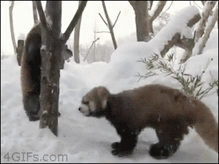 Udig0Tl.gif