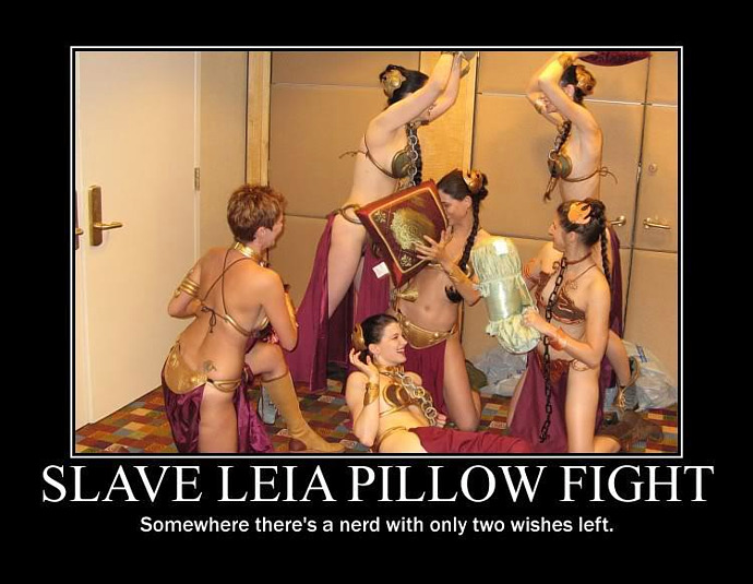 demotivator_leia-pillow-fight.jpg