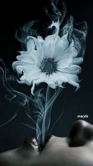 299e95919ec378c1a52aee80fe2ef886.gif