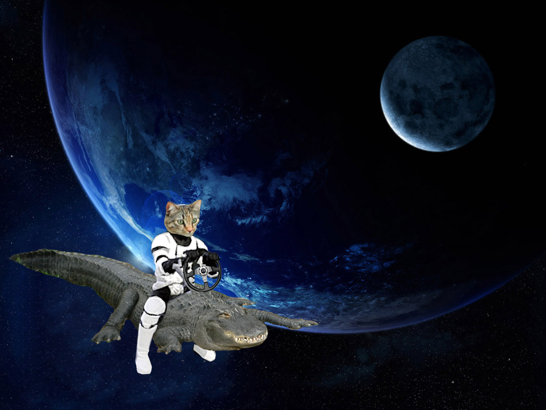 kitty-space-gator.jpg