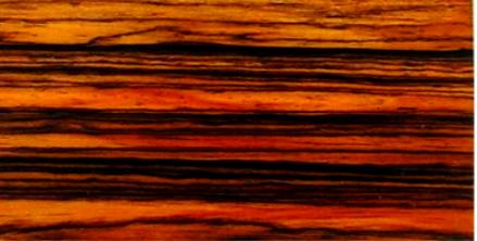 sample_cocobolos4.jpg