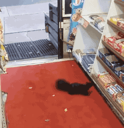 a2b784a43d602f273a39cf5af9bf5376.gif